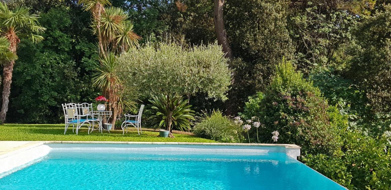 Lily Valley Villa Near St Paul De Vence Roquefort-les-Pins Exterior foto